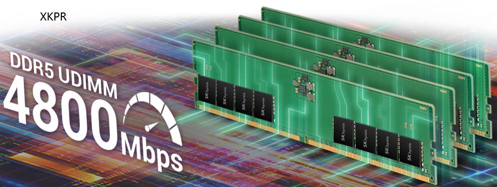 SK hynix DDR5 8G 4800 UDIMM HMCG66MEBUA084N 现代海力士台式机内存条 容量8GB 频率4800Mbps